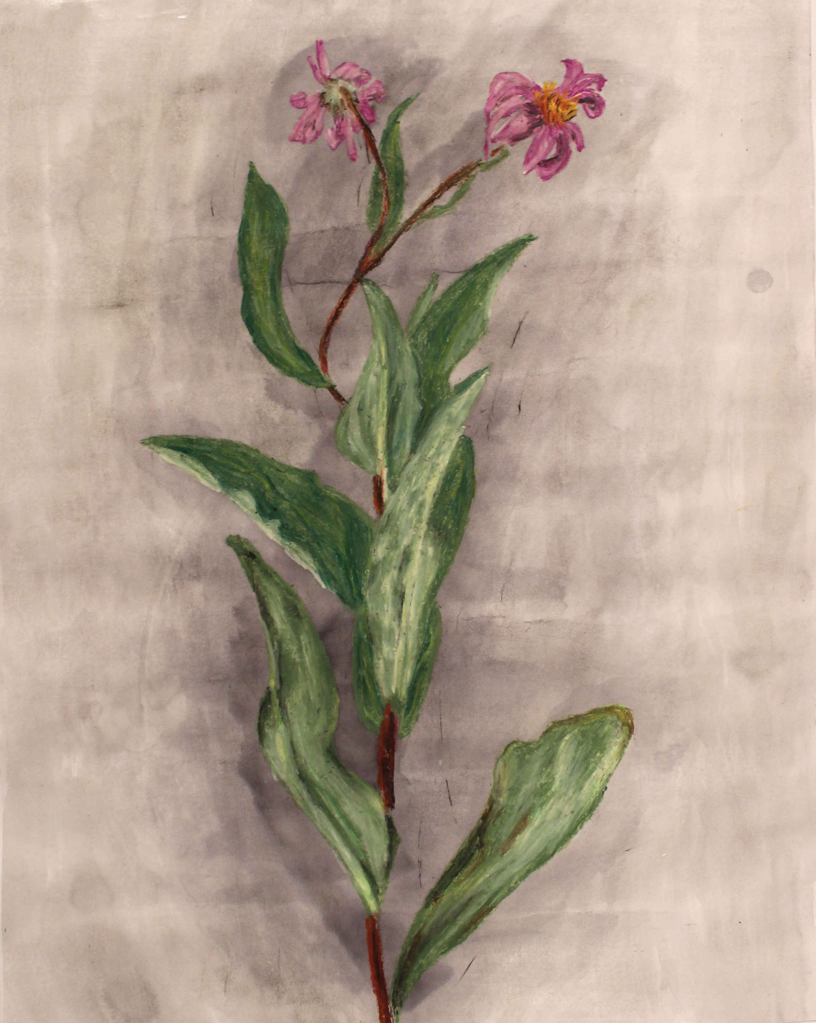 Watercolor and Pastel: 'Wildflower'