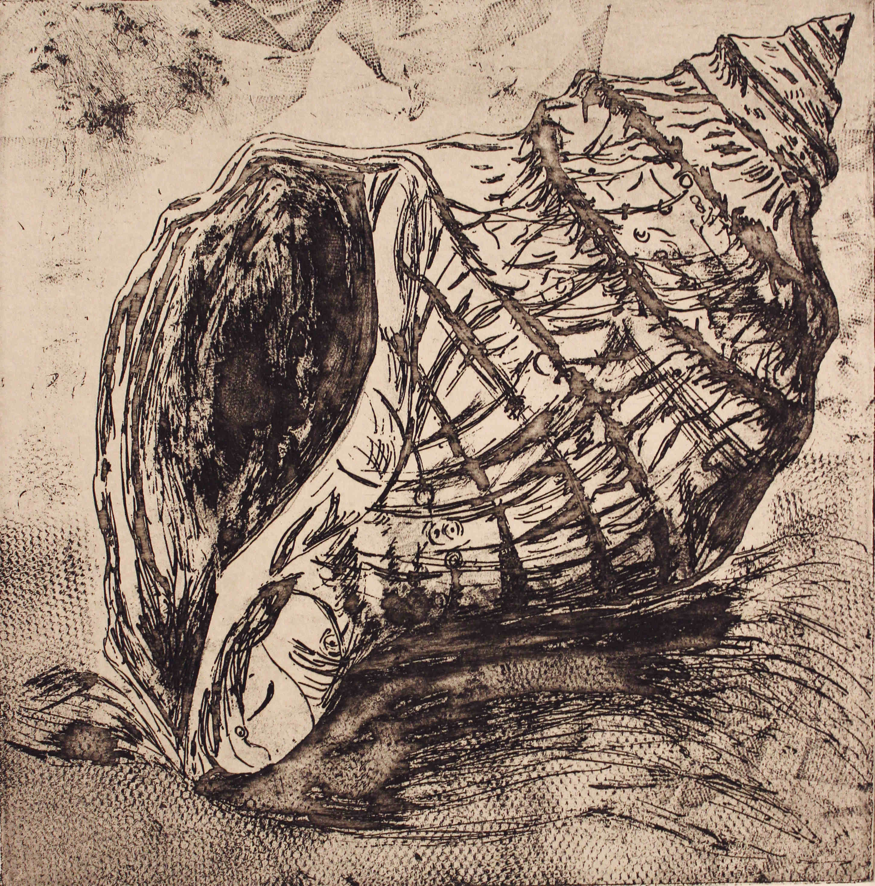 Shell etching